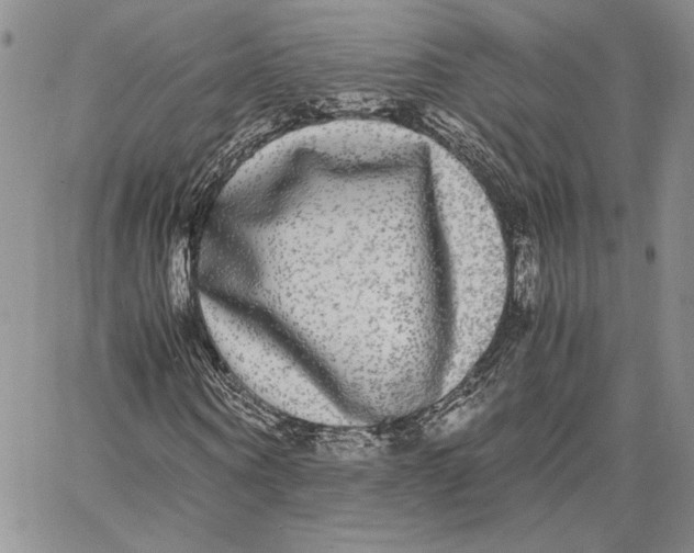X0000062850866200602031624