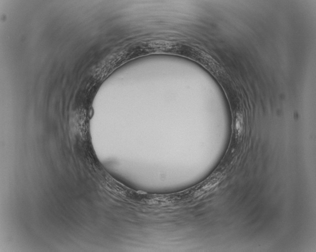 X0000062850867200602031624