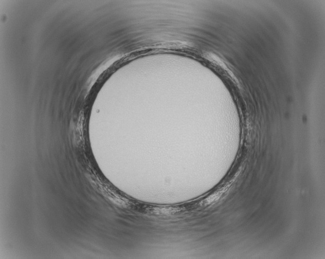 X0000062850875200602031624
