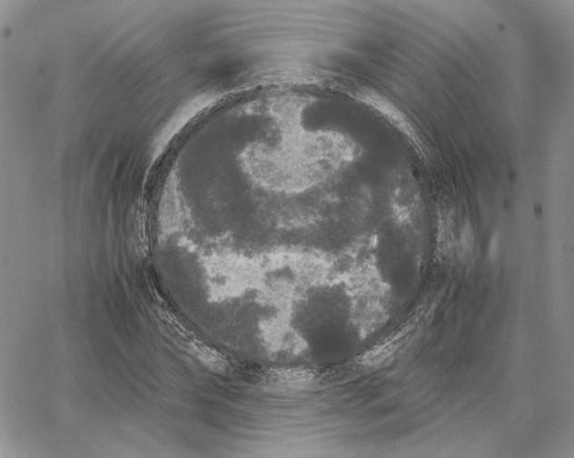 X0000062850878200602031624