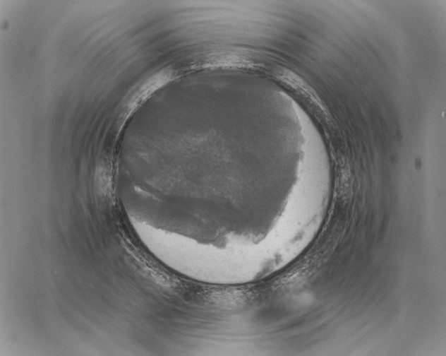 X0000062850882200602031624