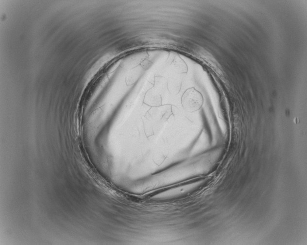 X0000062850891200602031624
