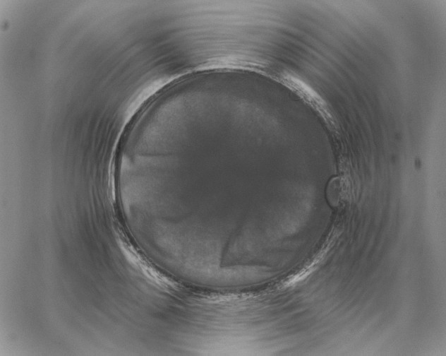 X0000062850892200602031624