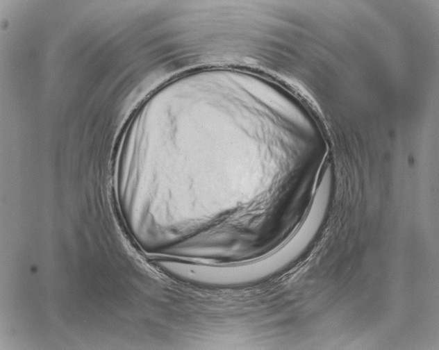 X0000062850895200602031624
