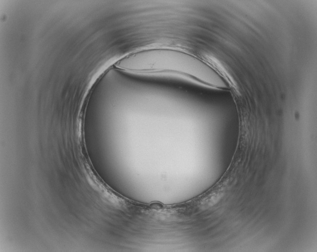X0000062850900200602031624