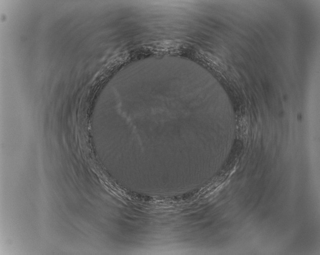 X0000062850913200602031623