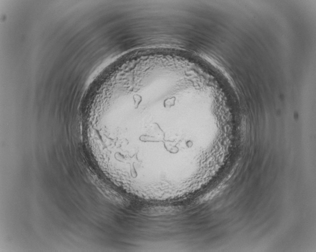 X0000062850925200602031623