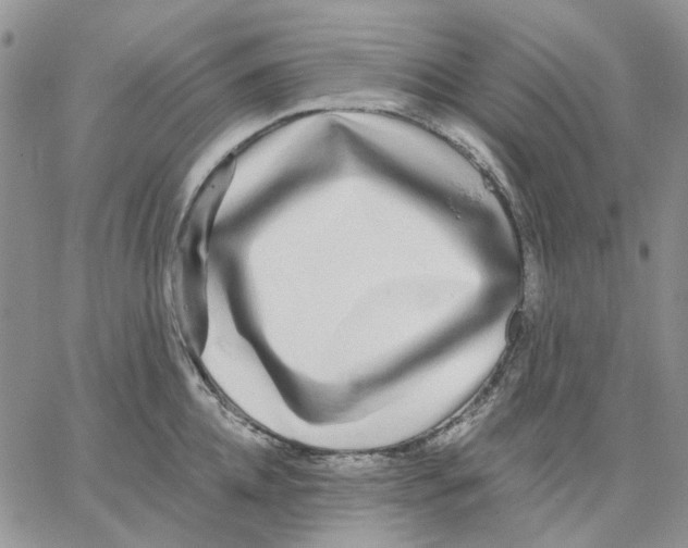 X0000062850952200602031623