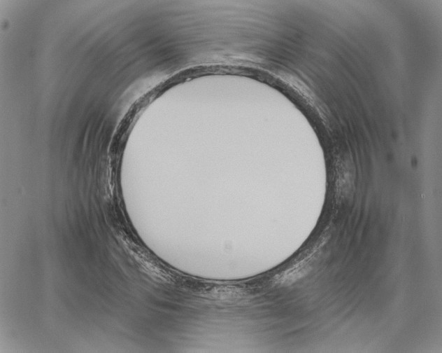 X0000062850974200602031623