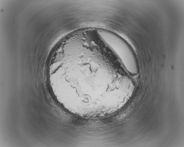 X0000062850983200602031622