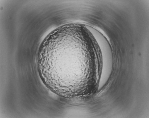 X0000062851007200602031622
