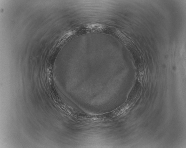 X0000062851010200602031621