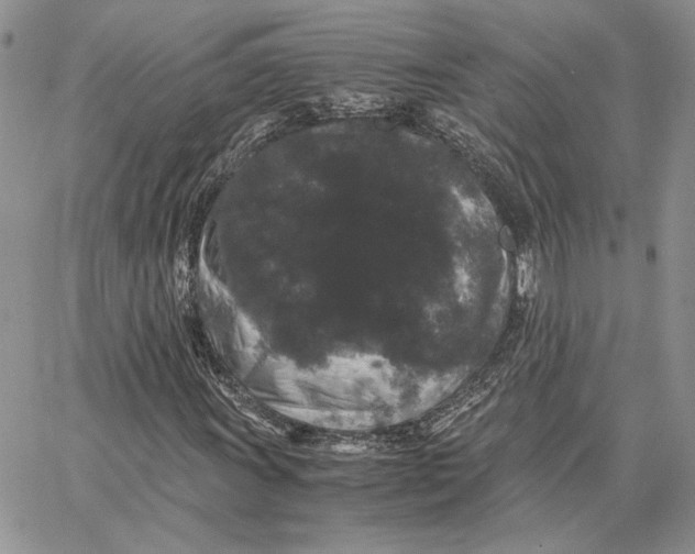 X0000062851011200602031621