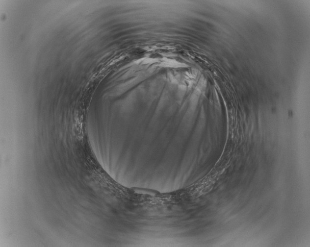 X0000062851013200602031621