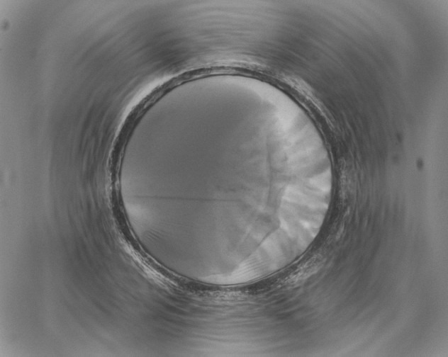 X0000062851024200602031621