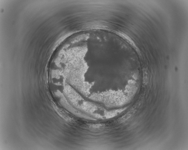 X0000062851031200602031622