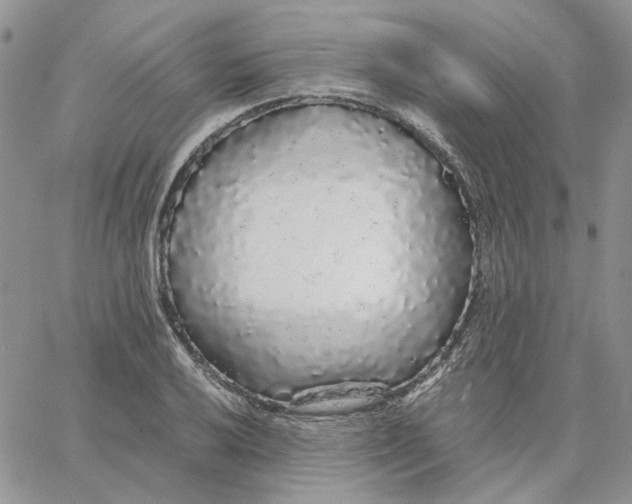 X0000062851032200602031622