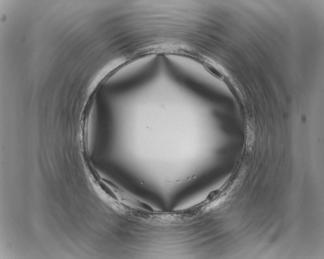 X0000062851042200602031622
