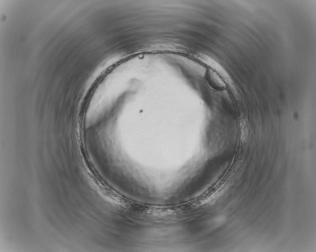 X0000062851043200602031622