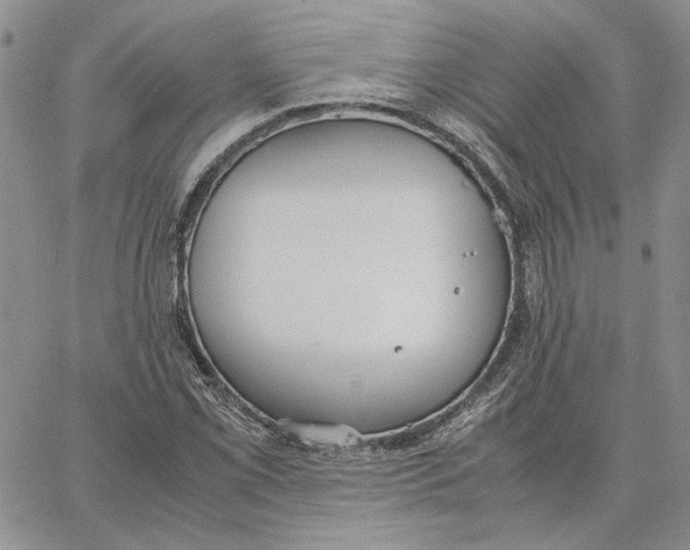 X0000062851069200602031621