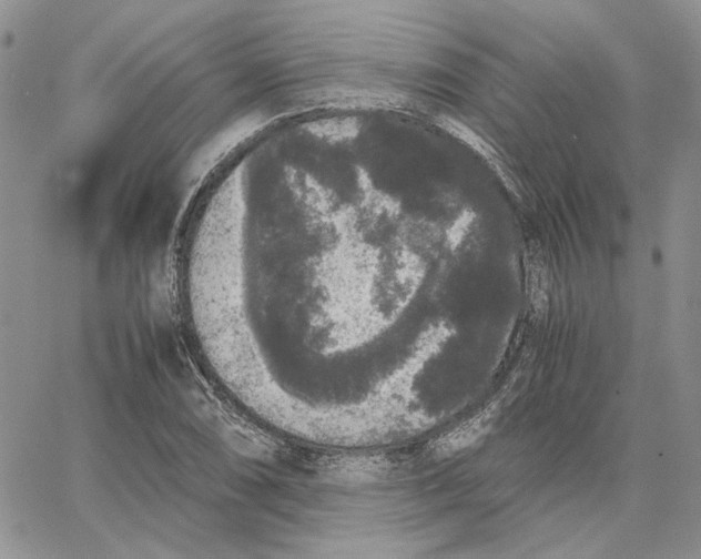 X0000062851074200602031621