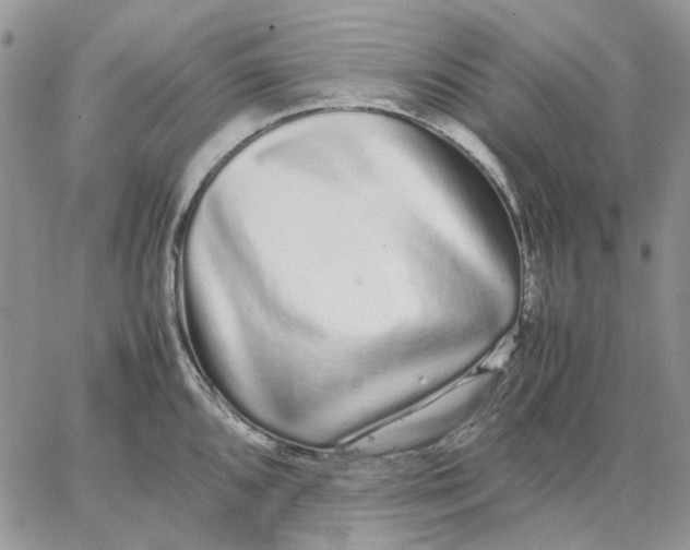 X0000062851096200602031621