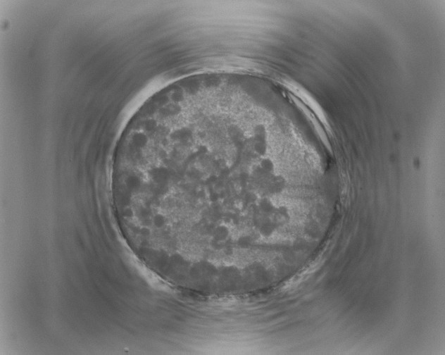 X0000062851099200602031620