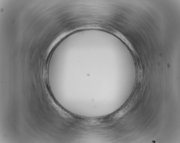 X0000062851101200602031620