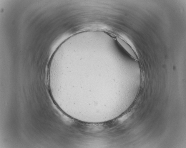 X0000062851103200602031620