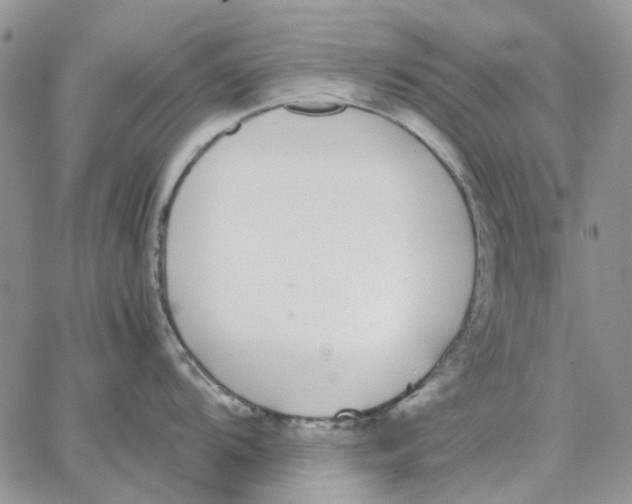 X0000062851104200602031620