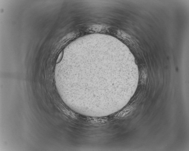 X0000062851105200602031620