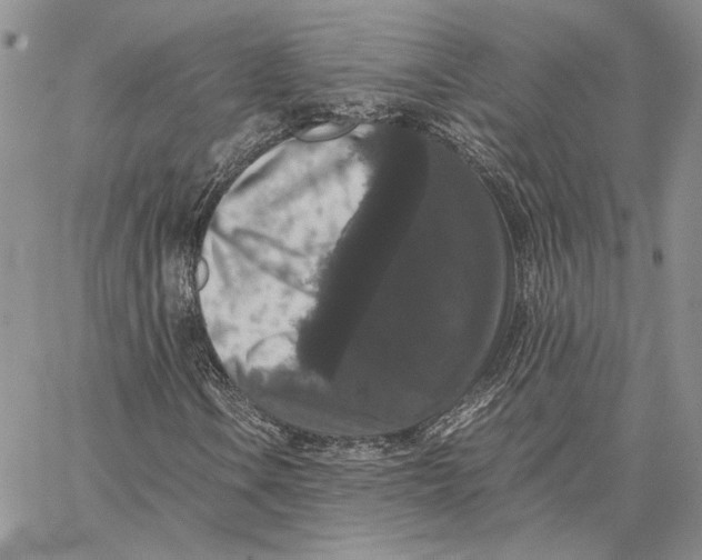 X0000062851106200602031620