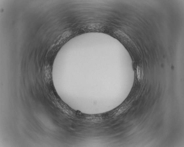 X0000062851107200602031620