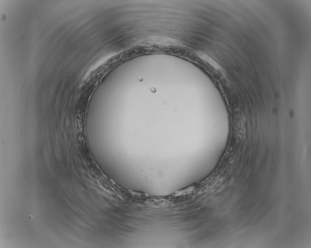 X0000062851112200602031620