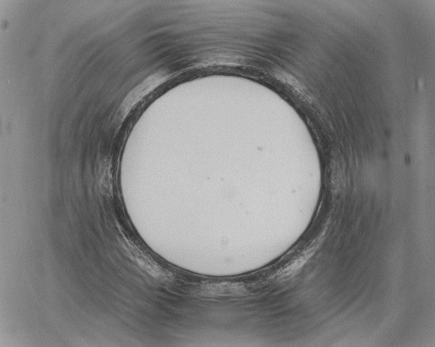 X0000062851113200602031620