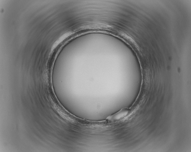 X0000062851114200602031620