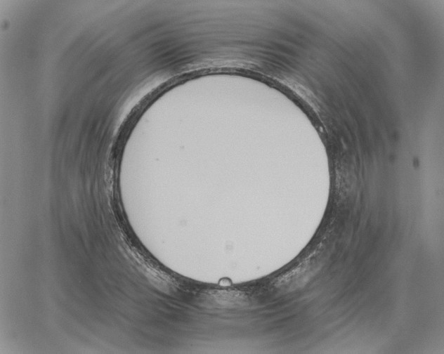 X0000062851119200602031620