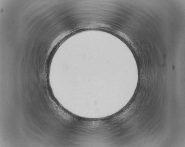 X0000062851122200602031620