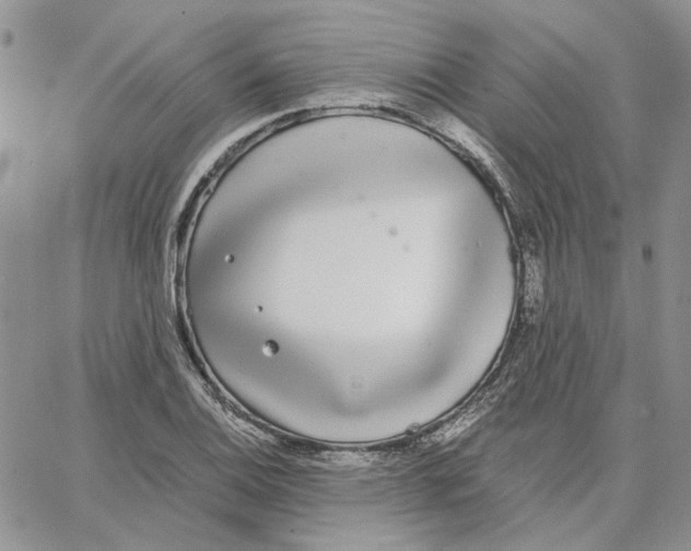 X0000062851124200602031620