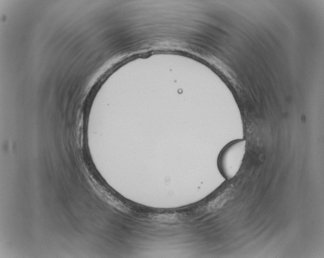 X0000062851126200602031620