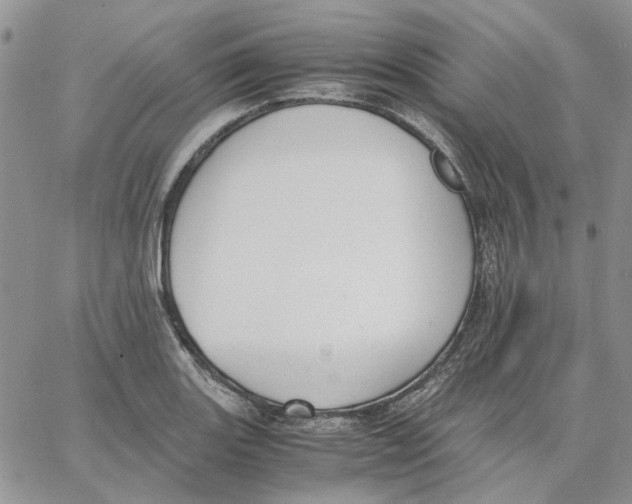 X0000062851131200602031620