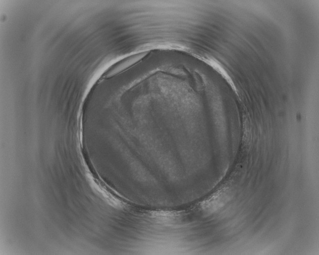 X0000062851132200602031620