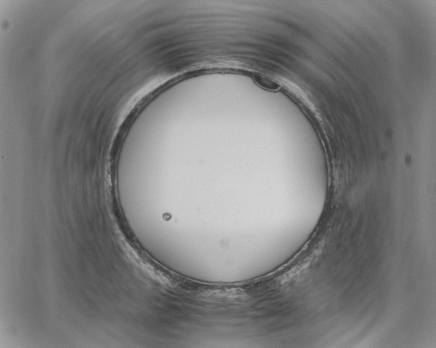 X0000062851133200602031620