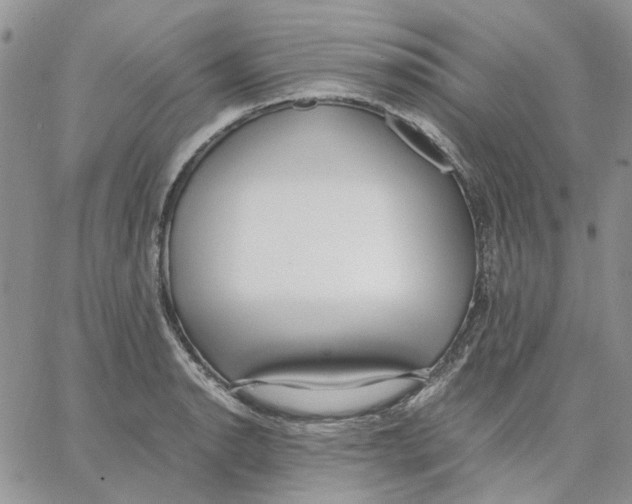 X0000062851134200602031620