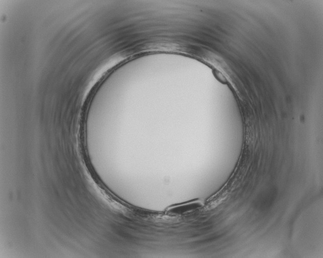 X0000062851139200602031620