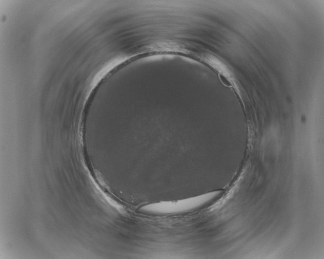 X0000062851141200602031620