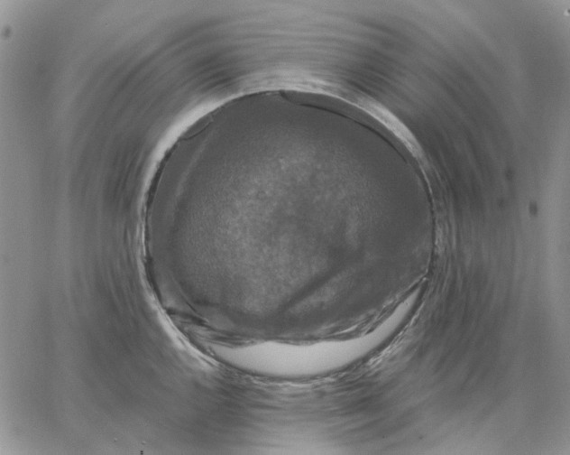 X0000062851144200602031620