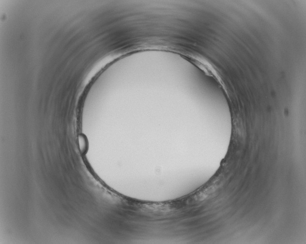 X0000062851147200602031620