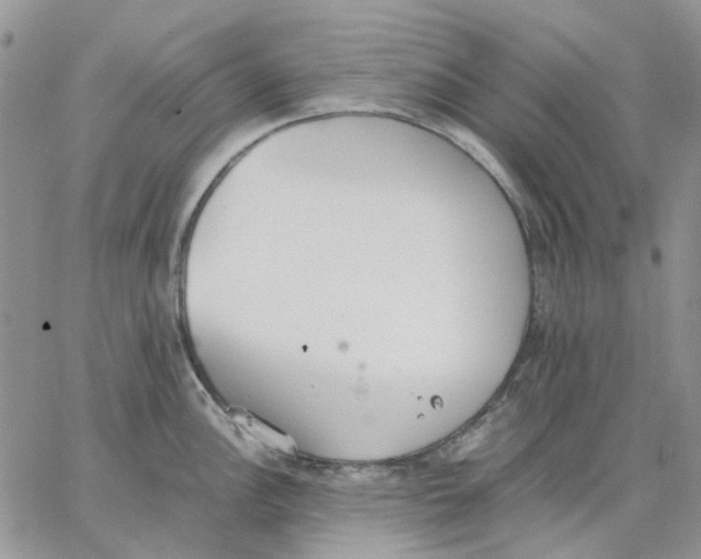 X0000062851148200602031620