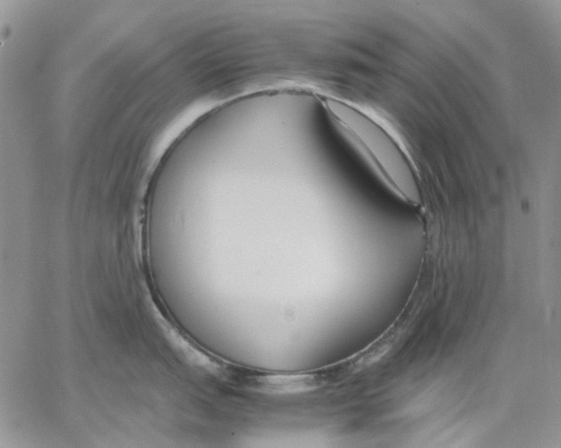 X0000062851151200602031620